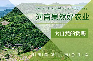 農(nóng)業(yè)網(wǎng)站開(kāi)發(fā)